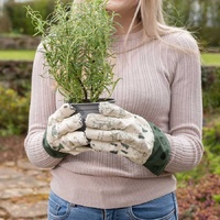 Jardinopia Adult Gardening Gloves - Disney Winnie the Pooh