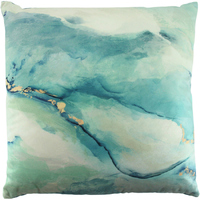 NF Living Velvet Cushion - Take the Tint 50x50cm