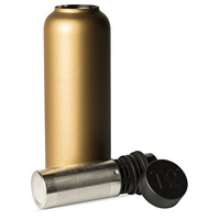 T2 Stainless Steel Flask - Gold