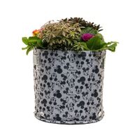 Jardinopia Eco Pot Fabric - Disney Mickey & Minnie Mouse Small Grey