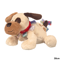 Mary Meyer - Taggies - Buddy Dog Plush 30cm