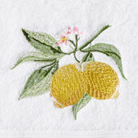 Pilbeam Living - Limetta Hand Towel