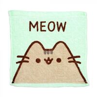 Pusheen Travel Towel - Green