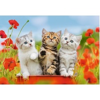 Ravensburger Puzzle 2 x 12pc - Kitten Adventures