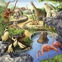 Ravensburger Puzzle 3 x 49pc - Forest Zoo and Pets