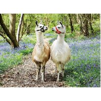 Ravensburger Puzzle 100pc XXL - Llama Love