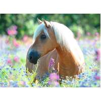 Ravensburger Puzzle 300pc XXL - Wildflower Pony