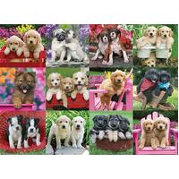 Ravensburger Puzzle 500pc - Puppy Pals