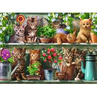 Ravensburger Puzzle 500pc - Cats on the Shelf