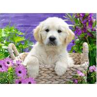 Ravensburger Puzzle 500pc - Sweet Golden Retriever