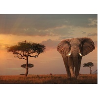 Ravensburger Puzzle 1000pc - Elephant Of The Masai Mara