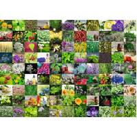 Ravensburger Puzzle 1000pc - 99 Herbs and Spices