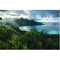 Ravensburger Puzzle 5000pc - Hawaiian Viewpoint