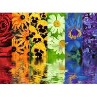 Ravensburger Puzzle 500pc - Floral Reflections