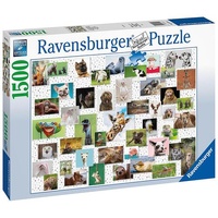 Ravensburger Puzzle 1500pc - Funny Animals