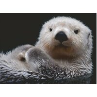 Ravensburger Puzzle 500pc - Adorable Little Otter