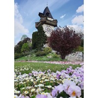 Ravensburger Puzzle 1000pc - Uhrturm In Graz