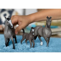 Schleich Horse Club - Selle Français Stallion