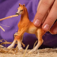 Schleich Horse Club - Arabian Foal