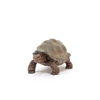 Schleich Wild Life - Giant Tortoise