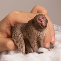 Schleich Wild Life - Japanese Macaque