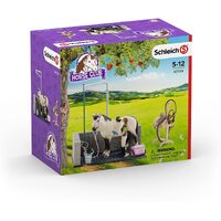 Schleich Horse Club - Horse Wash Area