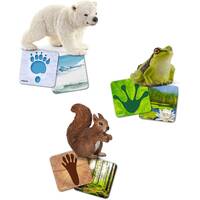 Schleich Wild Life - Wild Life Flash Cards