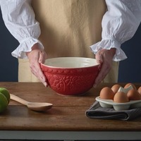 Mason Cash - Forest Red Mixing Bowl - 21cm