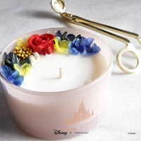 Disney x Short Story Candle - Belle And Beast