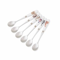 Royal Worcester Wrendale Tea Spoons - Set of 6