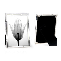 Whitehill Studio - Silver Plated Photo Frame - Bamboo 5x7"