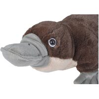 Wild Republic Cuddlekins - Platypus 12"