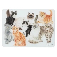 Ashdene Purrrfect Moments - Surface Protector