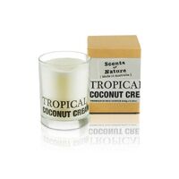 Scents of Nature by Tilley Soy Candle - Tropical Coconut Cream