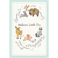 Hallmark Card - Welcome Little One Baby Card