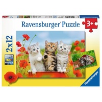 Ravensburger Puzzle 2 x 12pc - Kitten Adventures