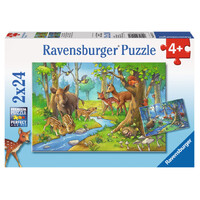 Ravensburger Puzzle 2x24pc - Animals of the Forest