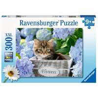 Ravensburger Puzzle 300pc XXL - Tortoiseshell Kitty