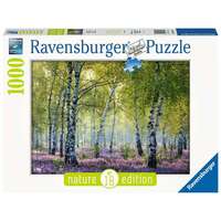 Ravensburger Puzzle 1000pc - Birch Forest