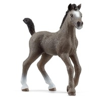 Schleich Horse Club - Selle Français Foal