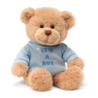 Gund Message Bear - It's A Boy