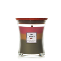 WoodWick Medium Trilogy Candle - Hearthside