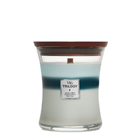 Woodwick Medium Trilogy Candle - Icy Woodland